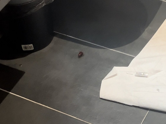 Garner Hotel Wiesbaden City by IHG主图