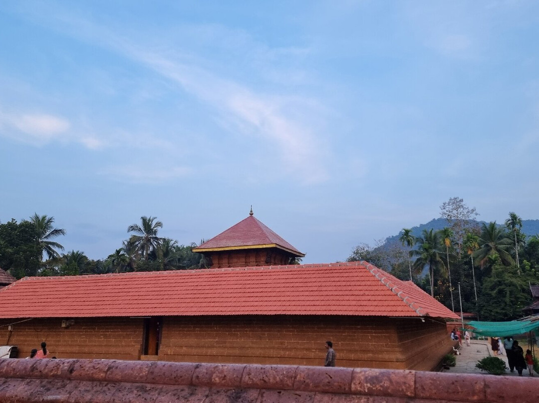 Mridanga Saileswari Temple景点图片