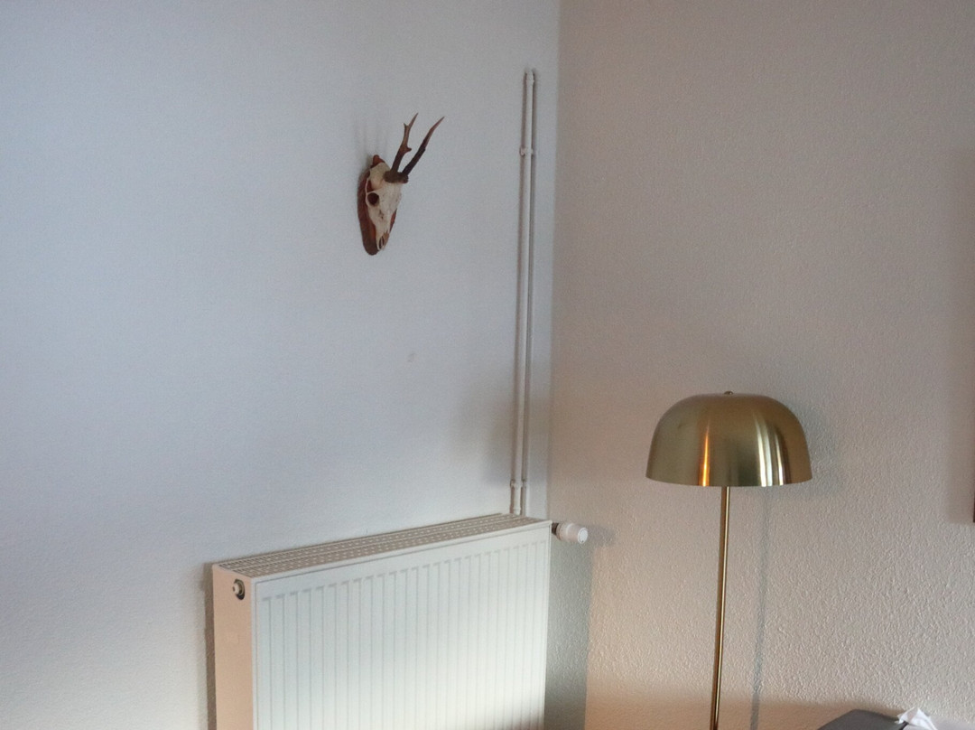 Hotel Goldried主图