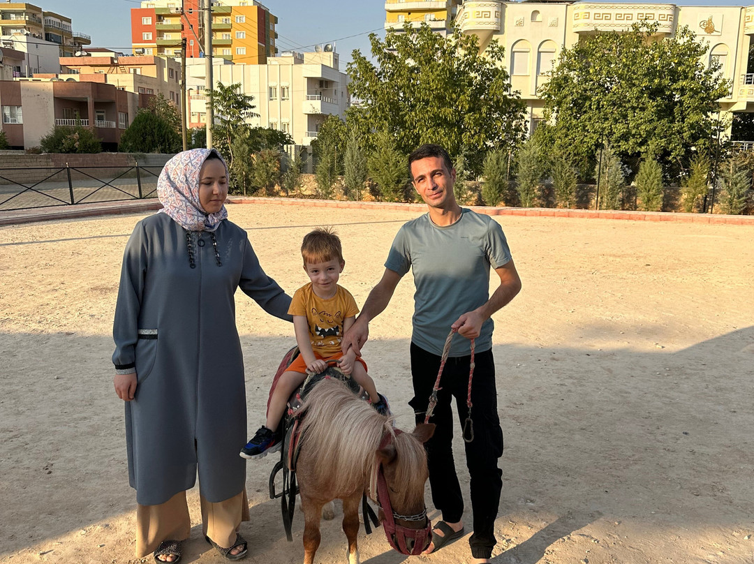 Midyatta bahcamatite atciftligi-Kiziltepe必去景点