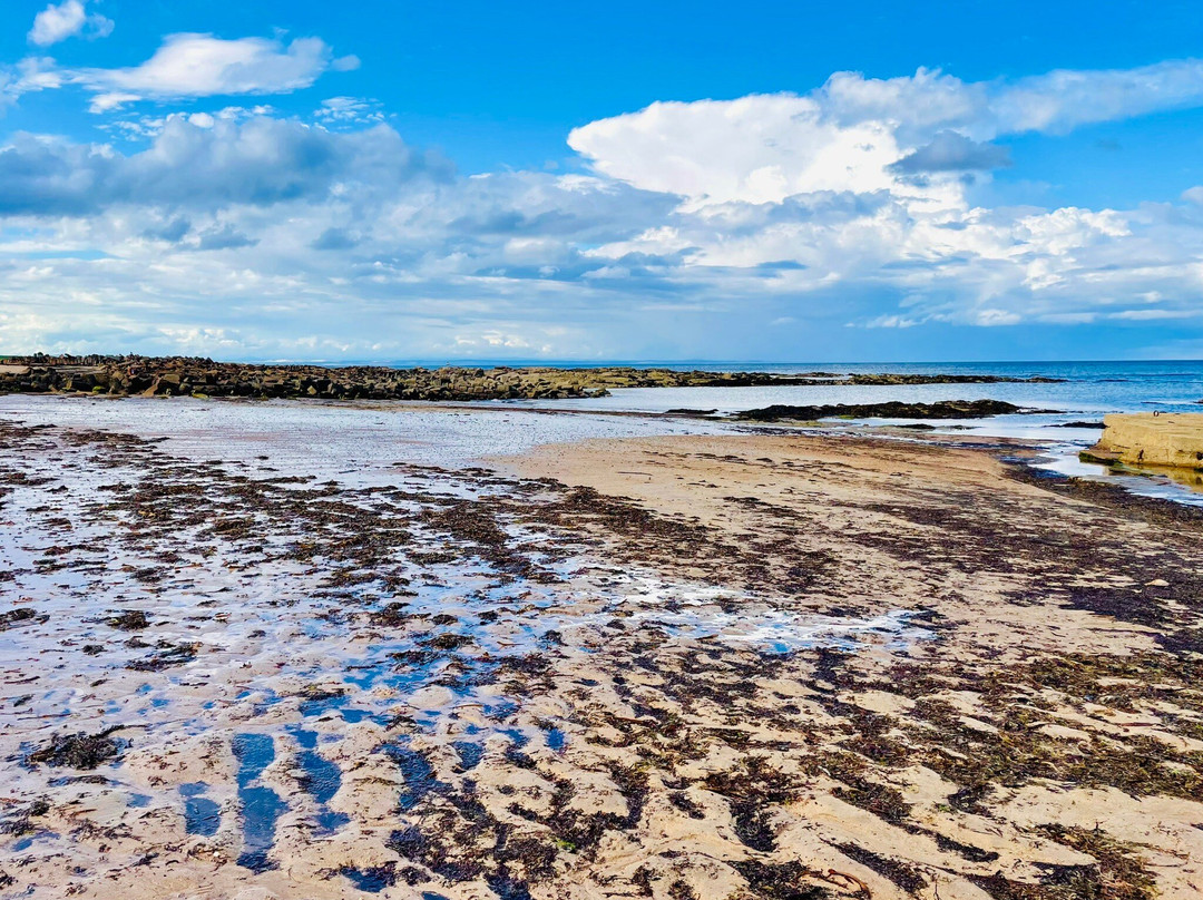 Kingsbarns Beach景点图片