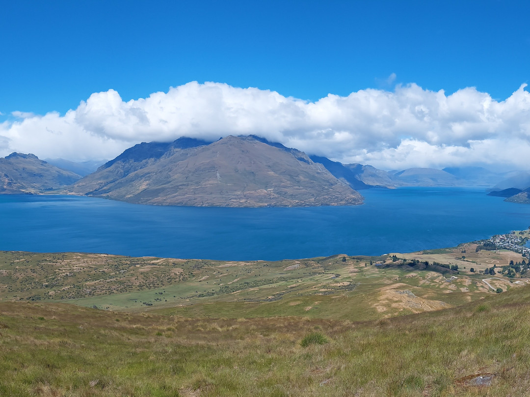 Detour-奥克兰必去景点