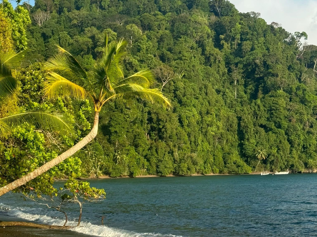 普拉亚尼库伊萨雨林旅馆主图
