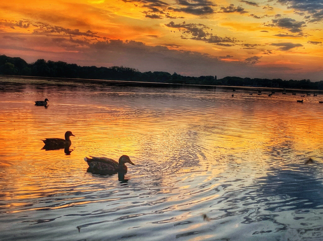 Priory Country Park景点图片