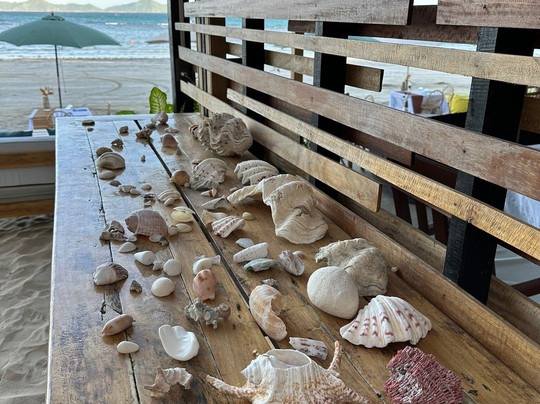 Ursula Beach Club主图