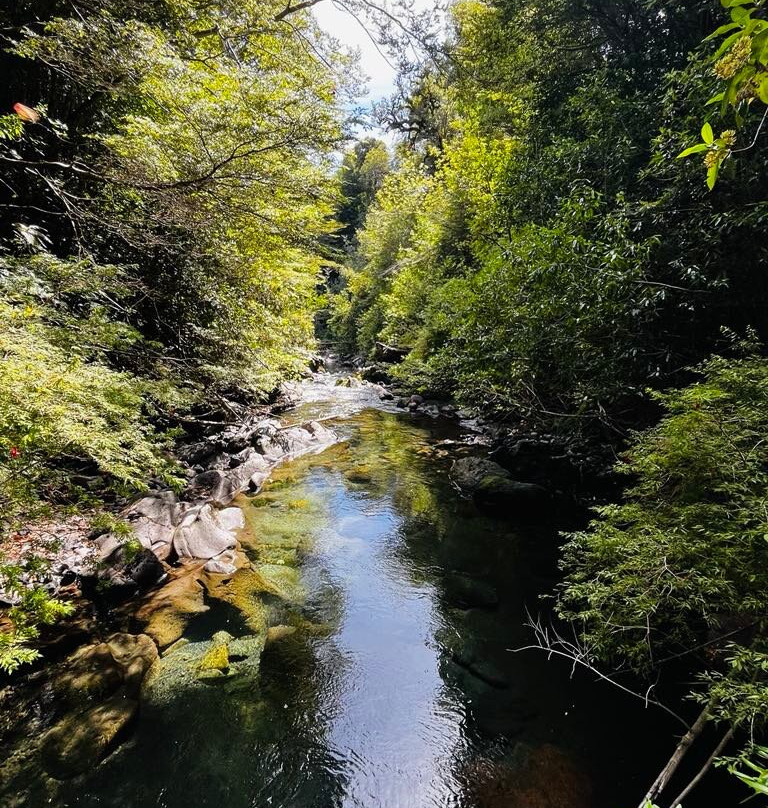 Parque Nacional Puyehue-Puyehue必去景点