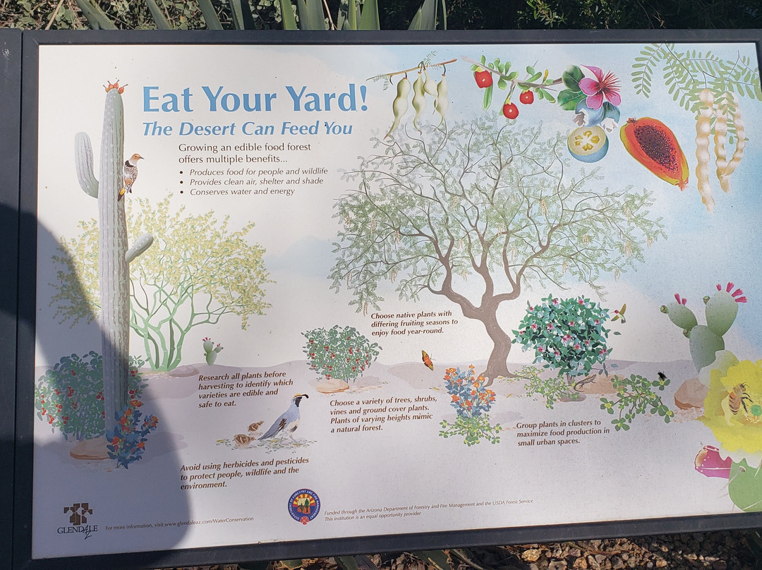 Xeriscape Botanical Gardens-格兰岱尔必去景点