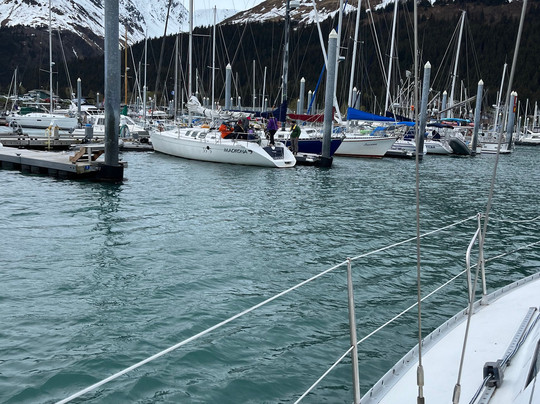 Resurrection Bay Sailing Charters-苏厄德必去景点
