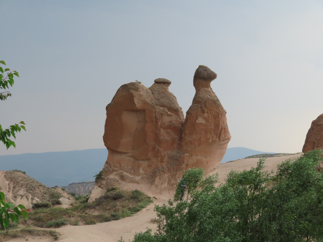 Camel Rock-格雷梅必去景点