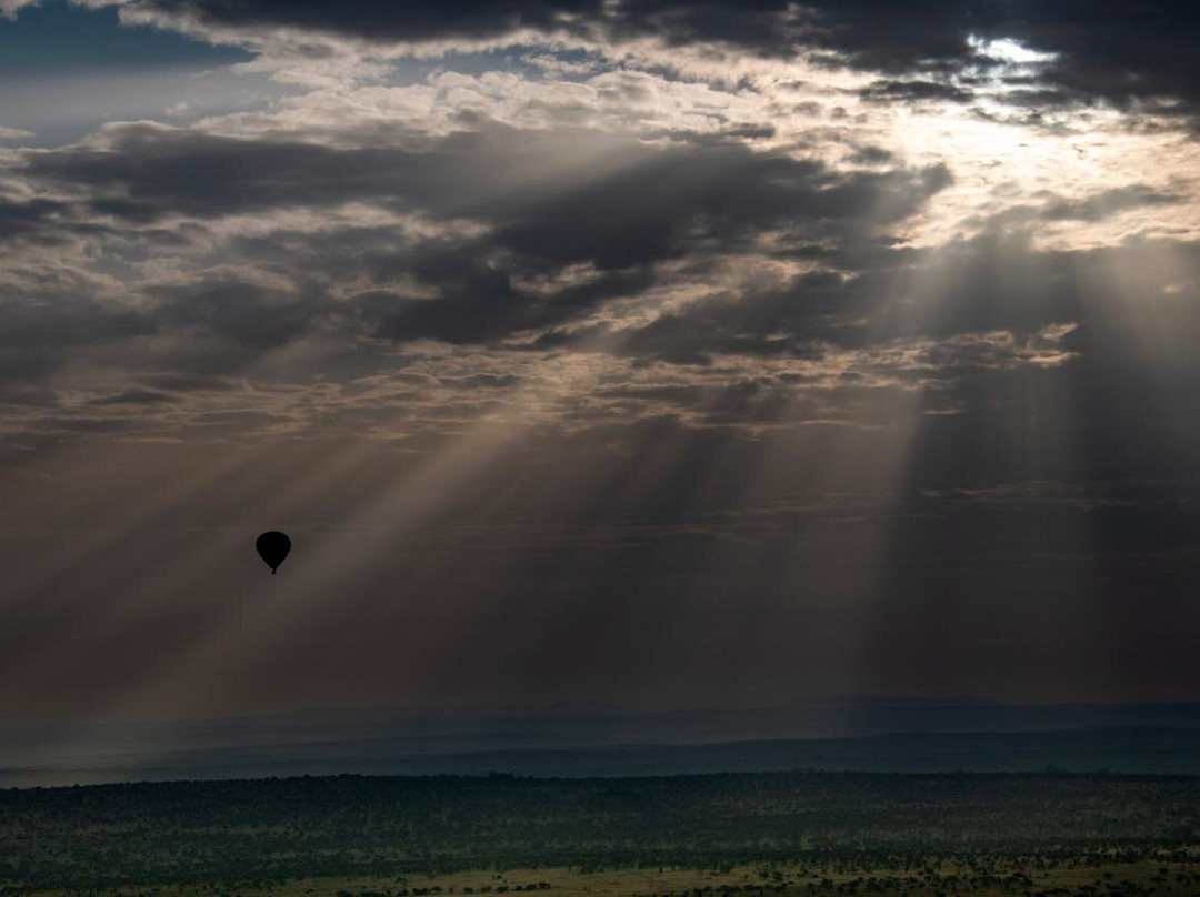 Adventures Aloft Balloon Safari Tanzania景点图片