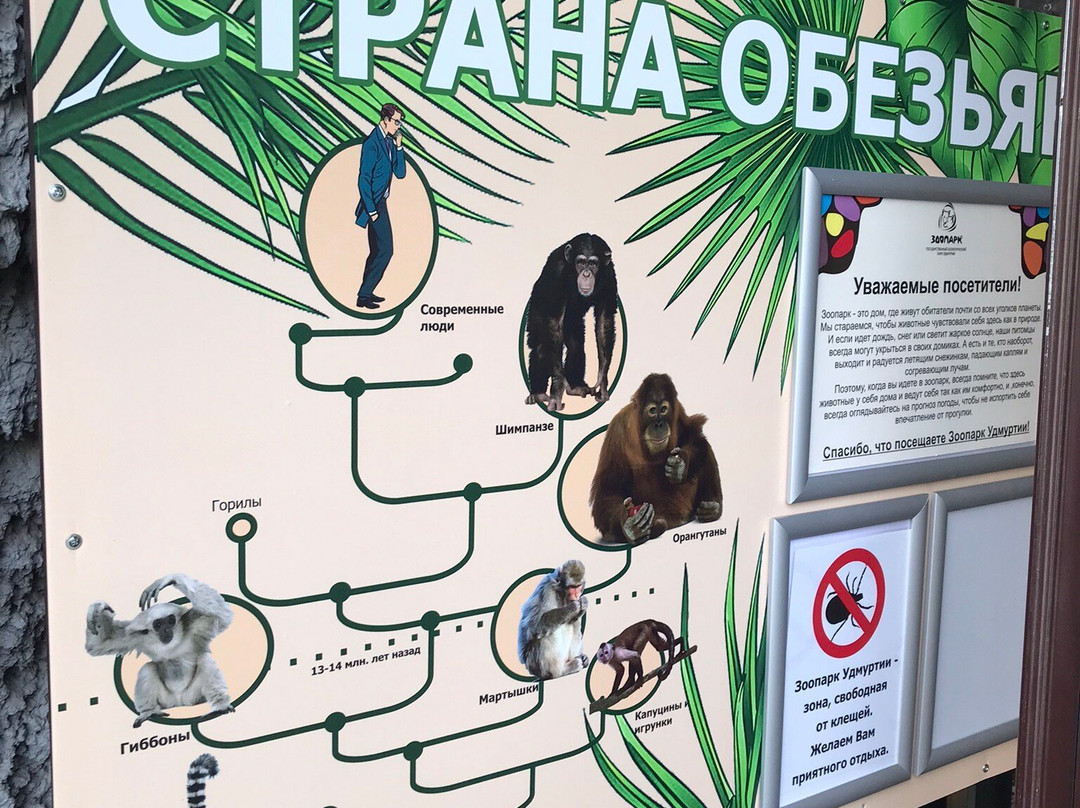 Gosudarstvennyy Zoologicheskiy Park Udmurtii-伊热夫斯克必去景点