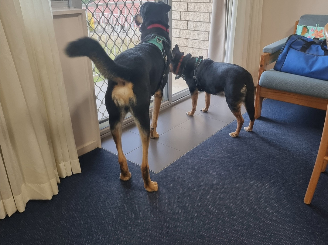 Econo Lodge Alabaster主图