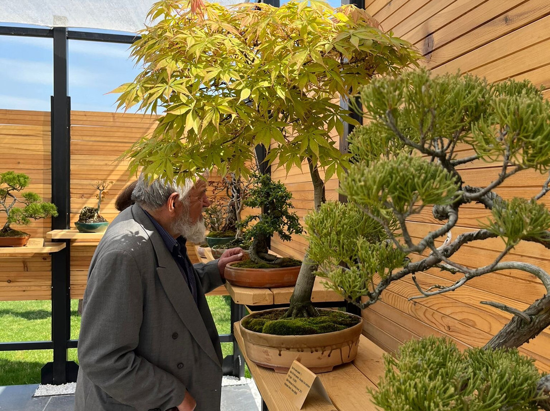 Yalova Bonsai Müzesi-Yalova必去景点