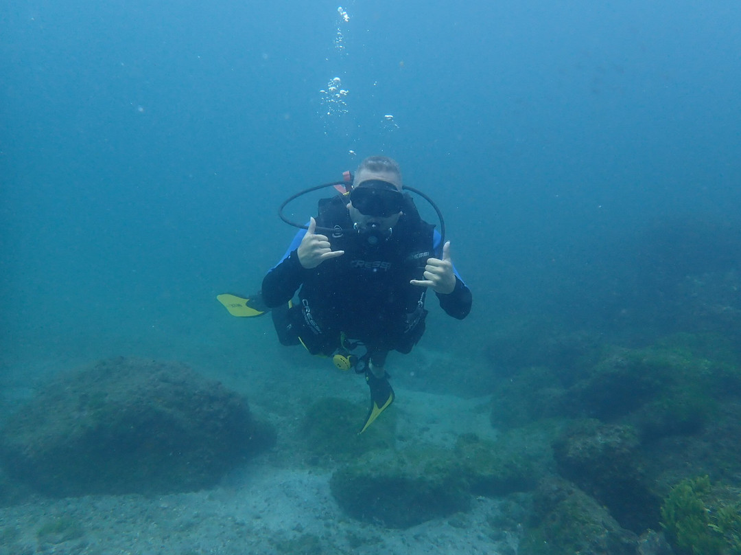 Pacific Coast Dive Center-Playa Flamingo必去景点