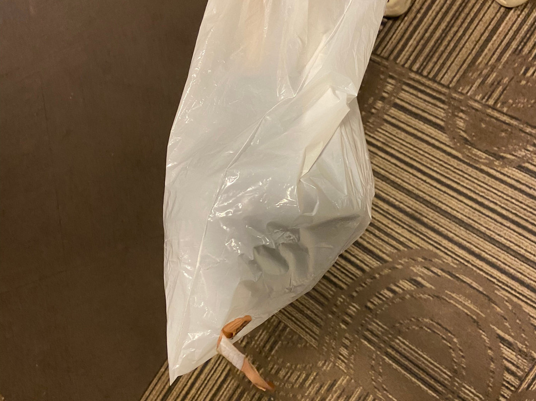 Hampton Inn Santa Rosa主图