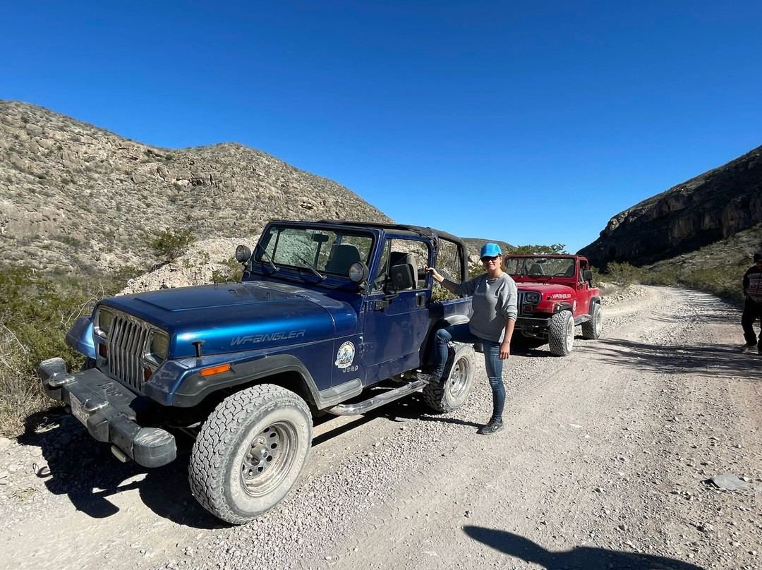Roadrunner Coahuila Desert-Cuatro Cienegas必去景点