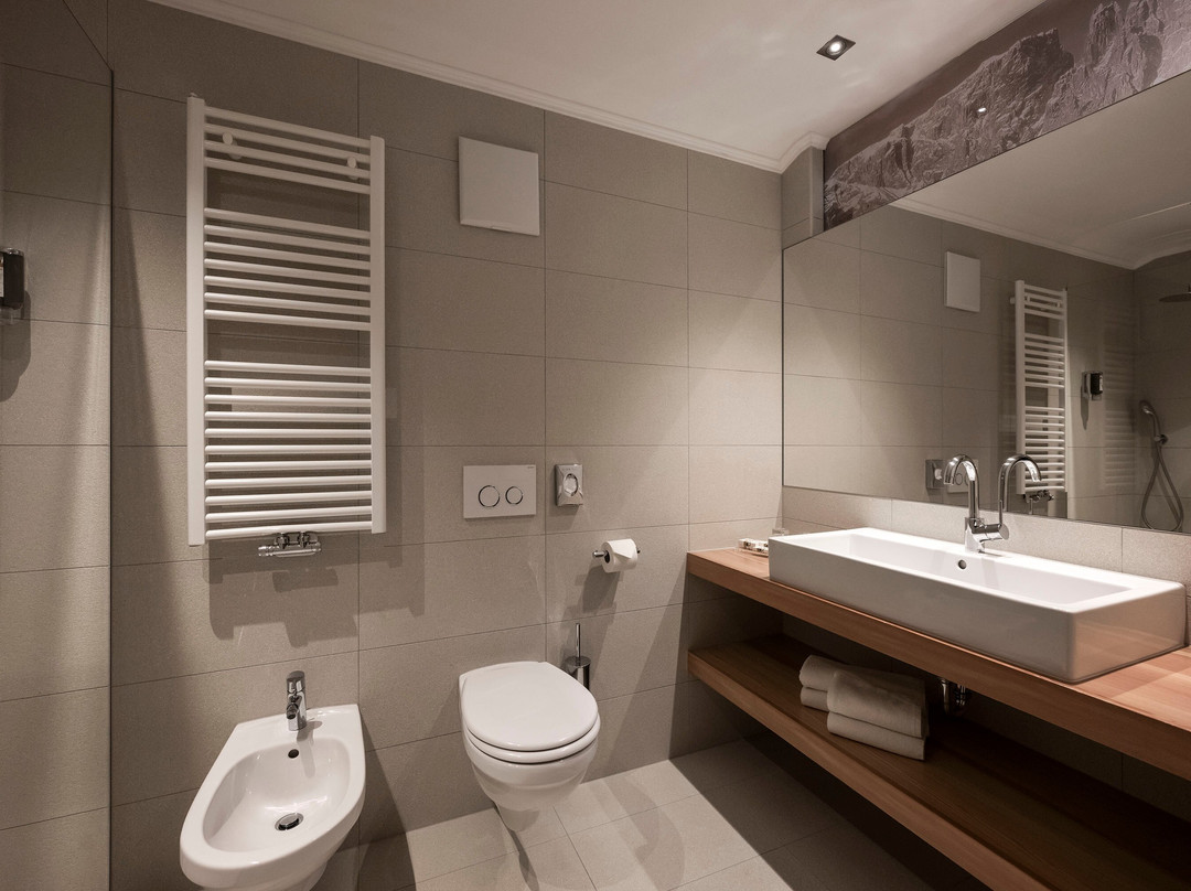 Dolomites Nature Hotel Vigilerhof主图