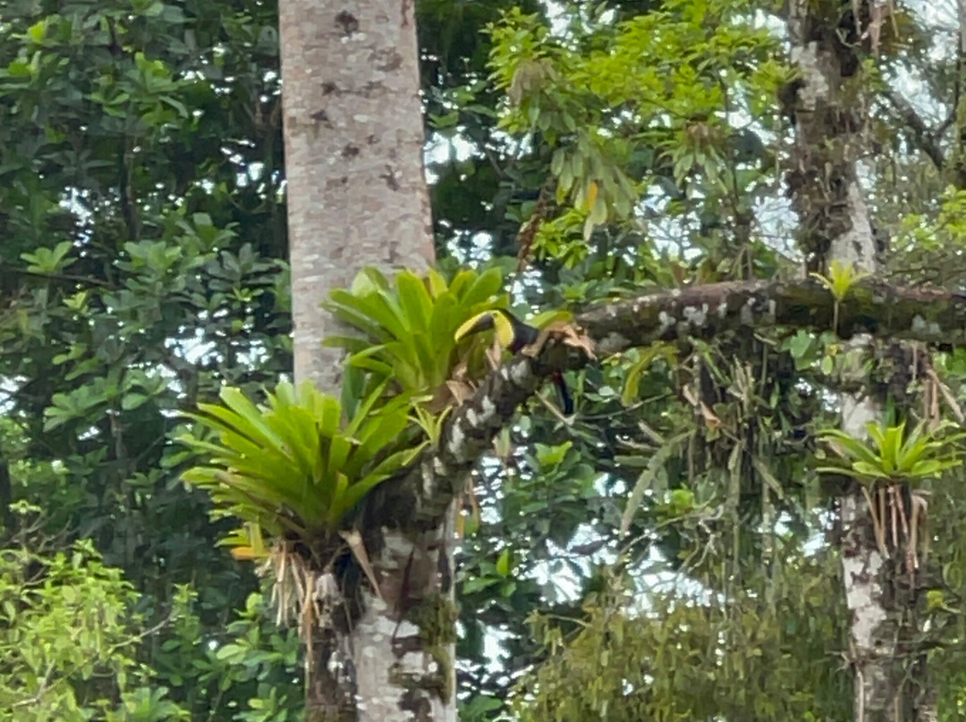 Mei Tai Cacao Lodge主图