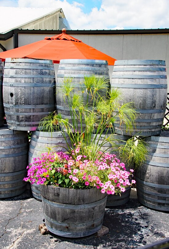 St. James Winery-Saint James必去景点