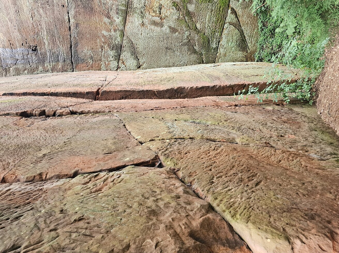Nesscliffe Country Park-Nesscliffe必去景点