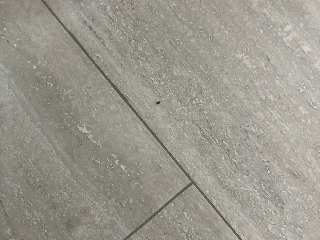 Best Western Inn Of Jasper主图