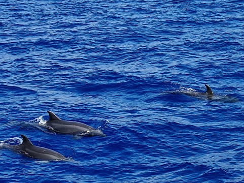 Cruceros Cormoran-帕格拉必去景点