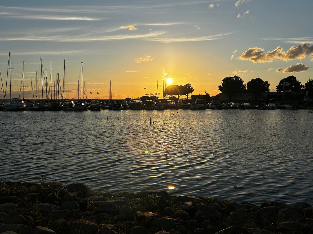 Flottan