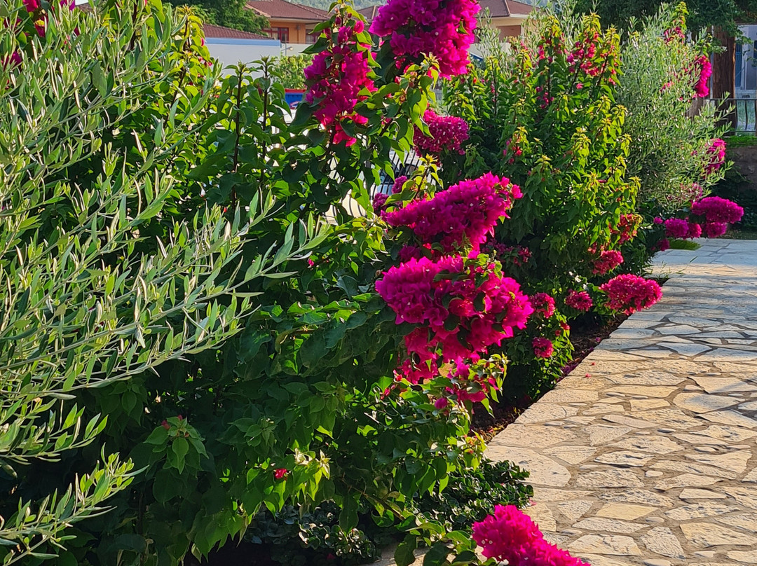 Myral Guesthouse主图