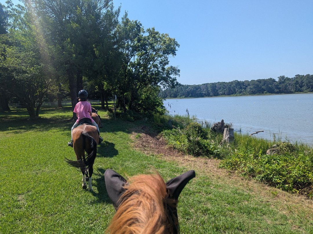 Esperanza Riding Company - Eastern Shore of Virginia景点图片