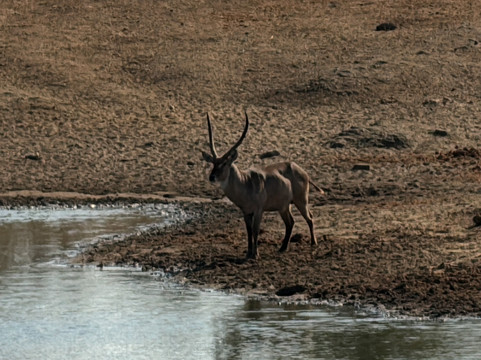 Dongeni Safaris-雾观必去景点