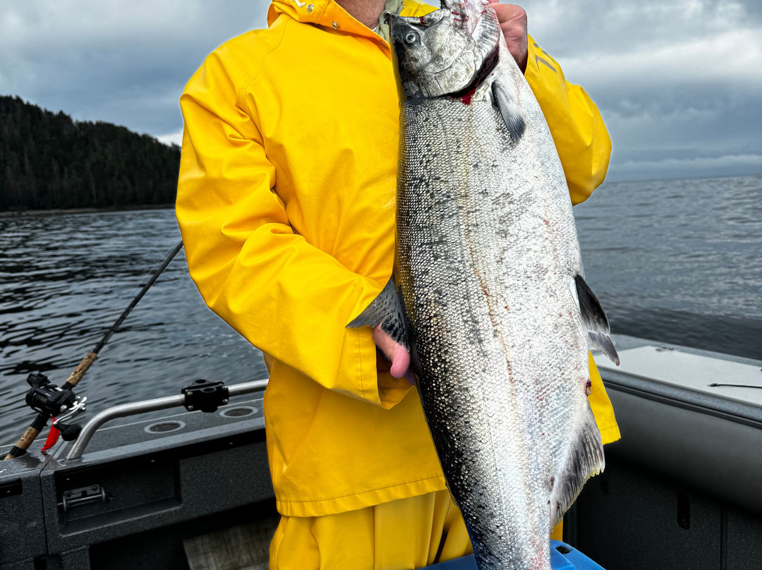 Waterfall Resort Alaska主图