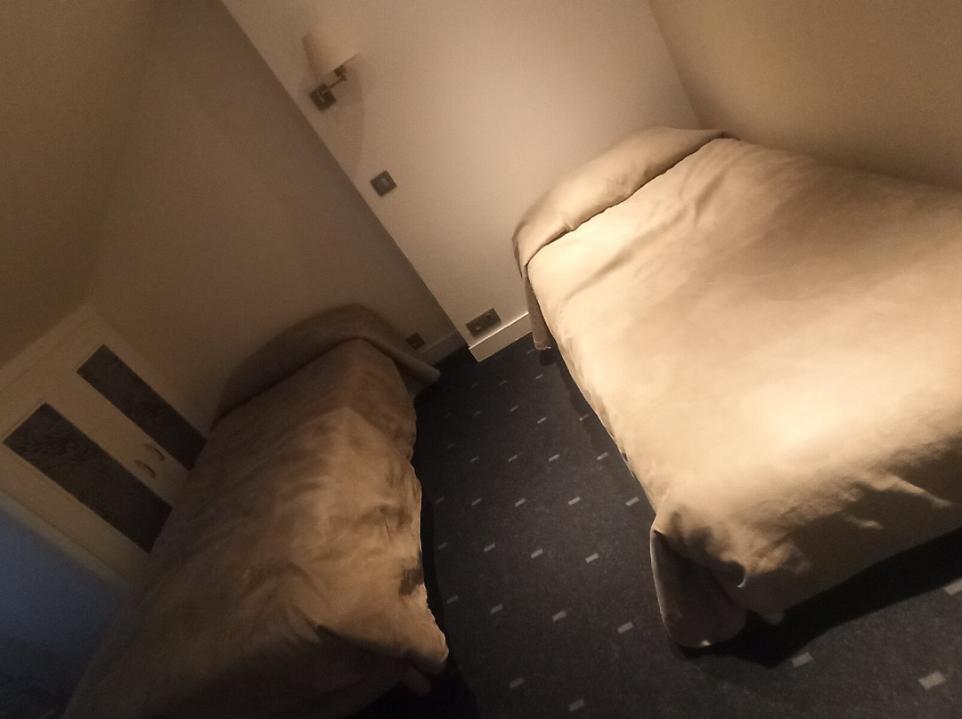 Logis Hôtel du Cerf主图