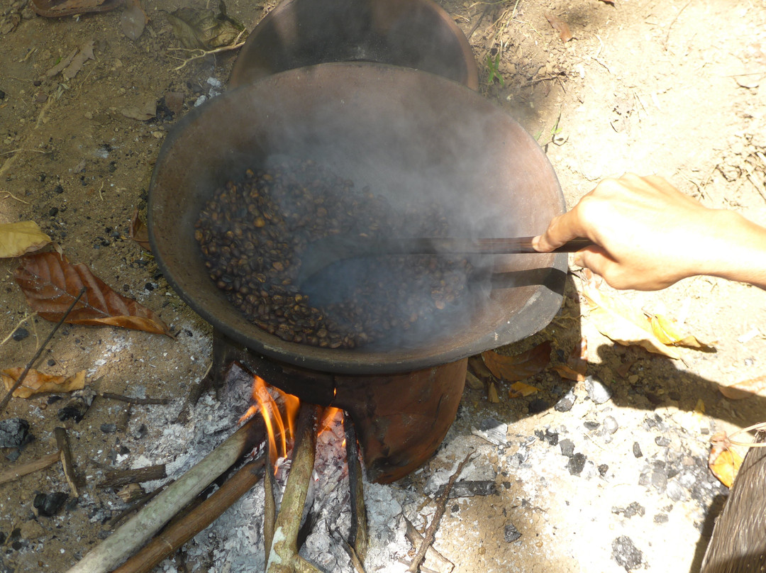 Lombok Forest Tour-Pemenang必去景点