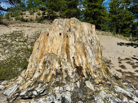 Florissant Fossil Beds National Monument-Florissant必去景点