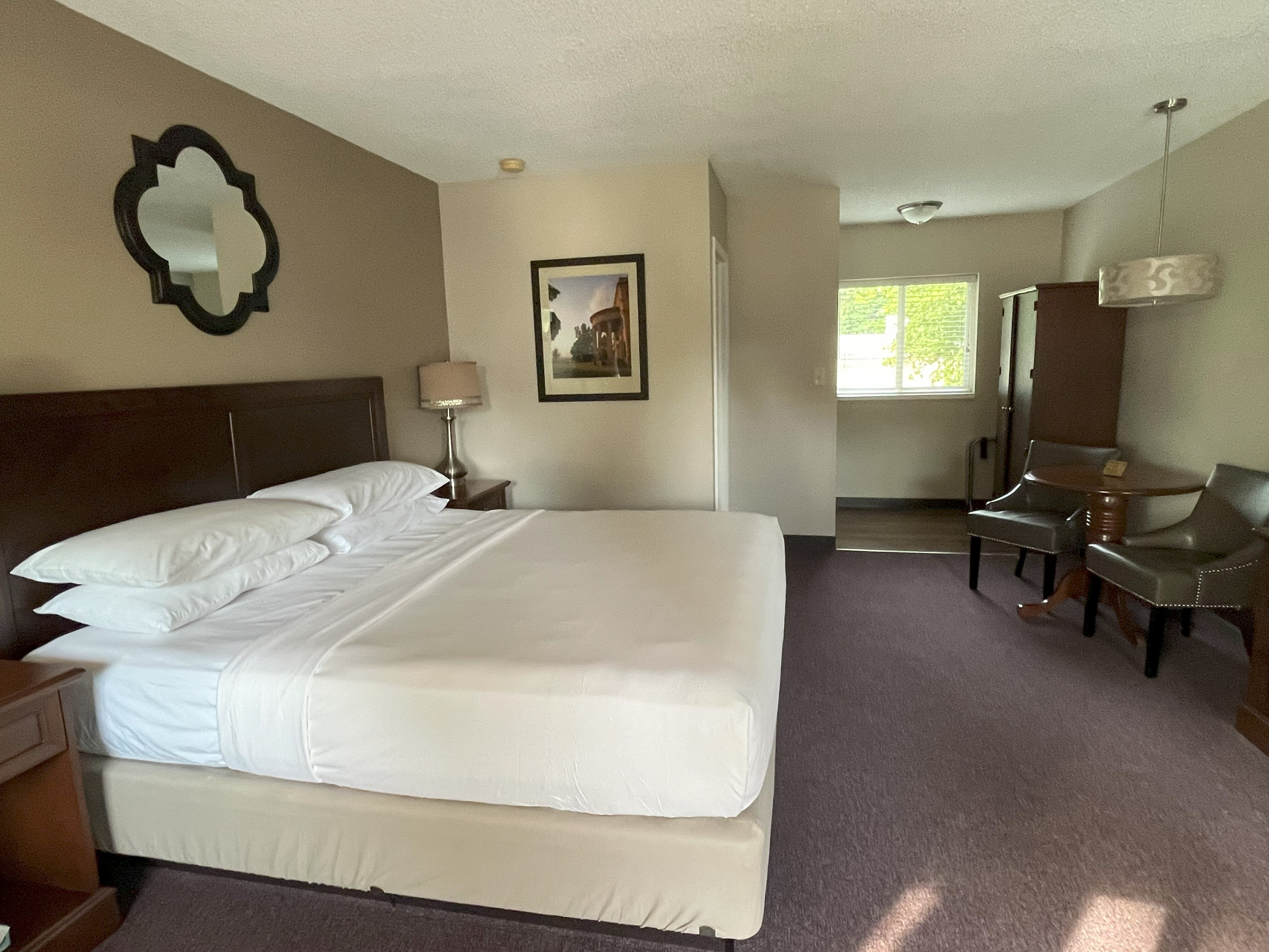 Roosevelt Inn of Hyde Park-客卧