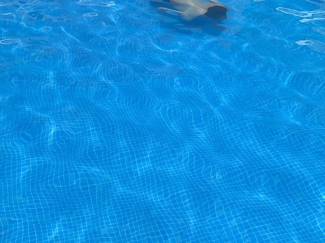 Grand Fiesta Americana Queretaro主图