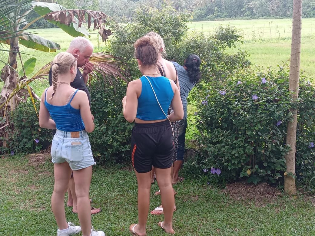 Boutique Tent Resort Nature View主图