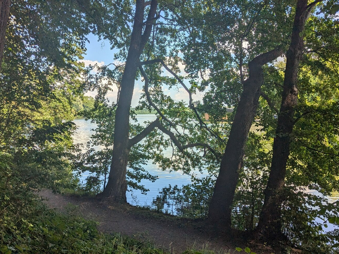 Eutiner Schlossgarten景点图片