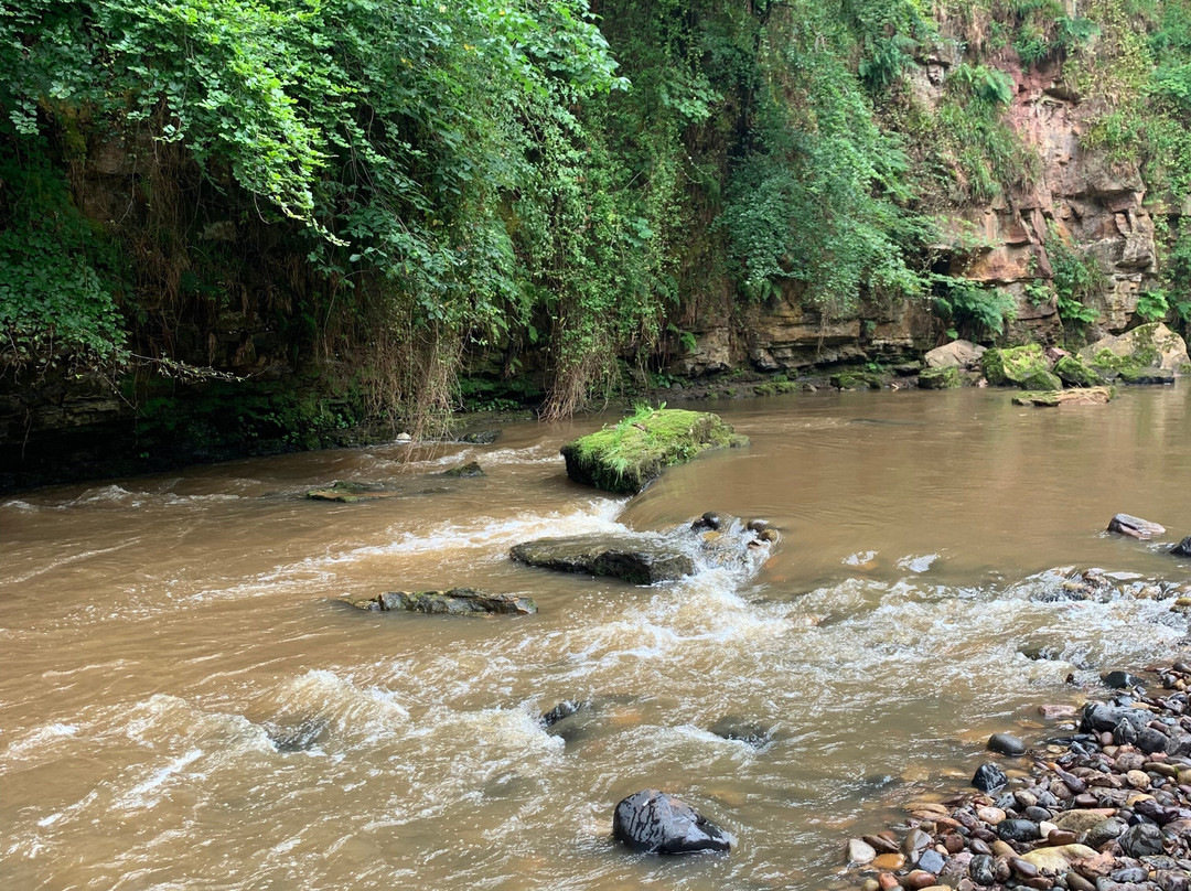 Roslin Glen Country Park-Roslin必去景点