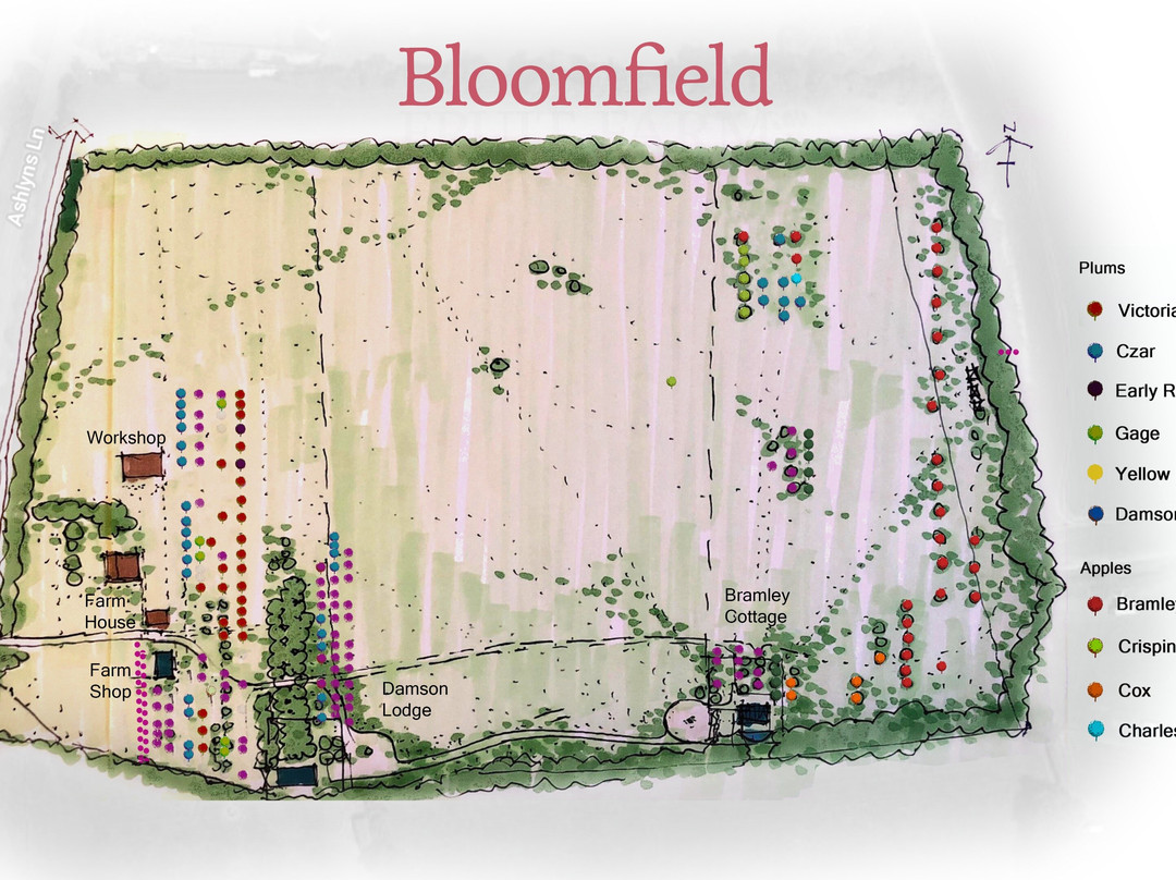 Bloomfield Fruit Farm-Chipping Ongar必去景点