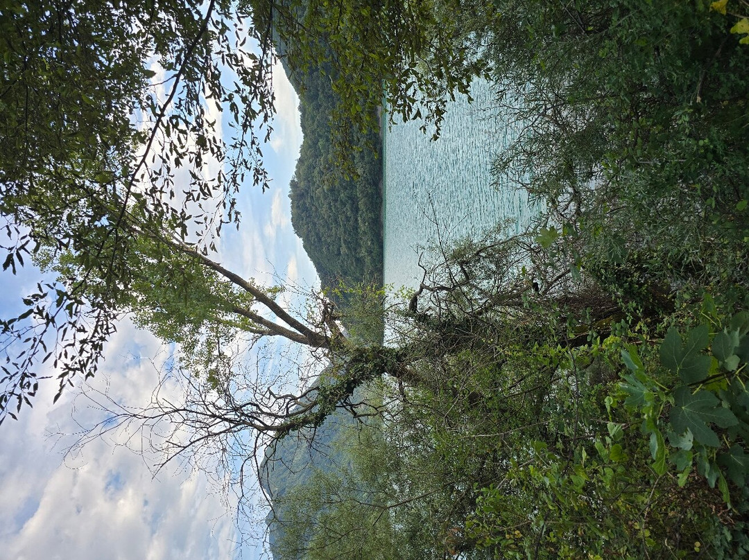 Lago Di Cavazzo景点图片