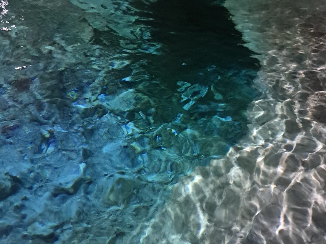 Lake Cave景点图片