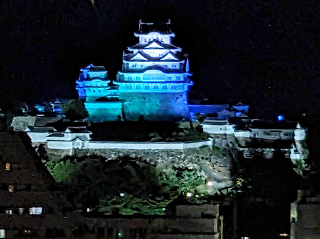 Daiwa Roynet Hotel Himeji主图