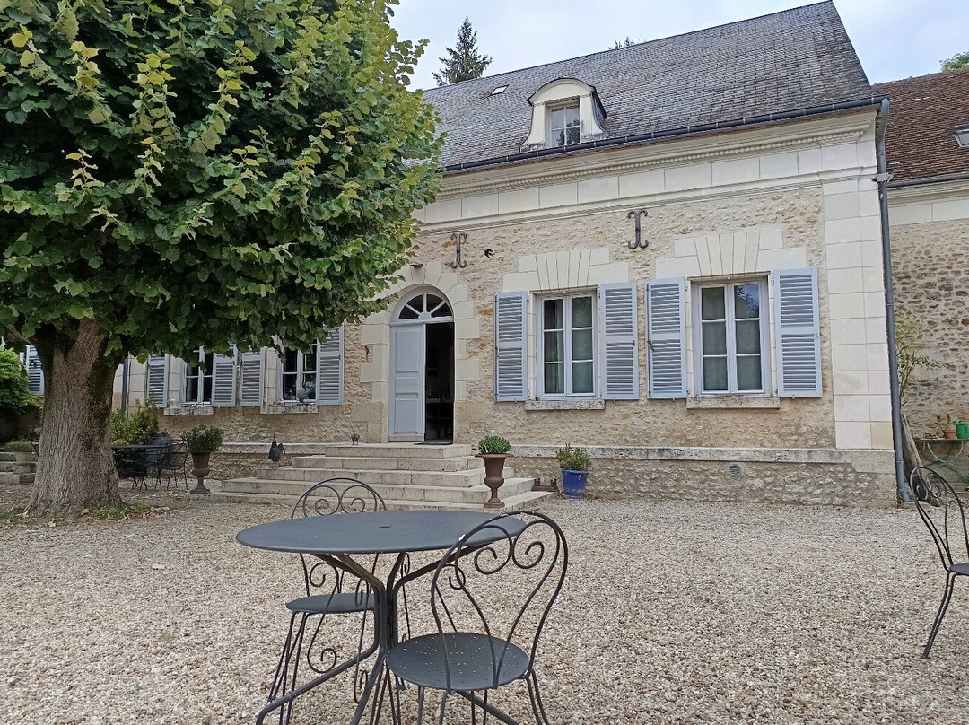 Bella Simonetta主图