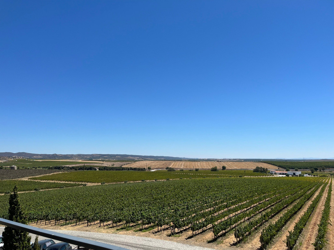 Herdade do Rocim景点图片