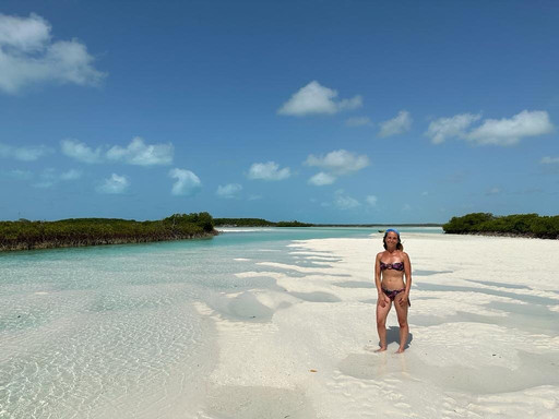 Turtles Nest Bahamas主图