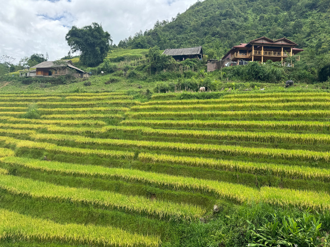 Trekking Tour Sapa景点图片