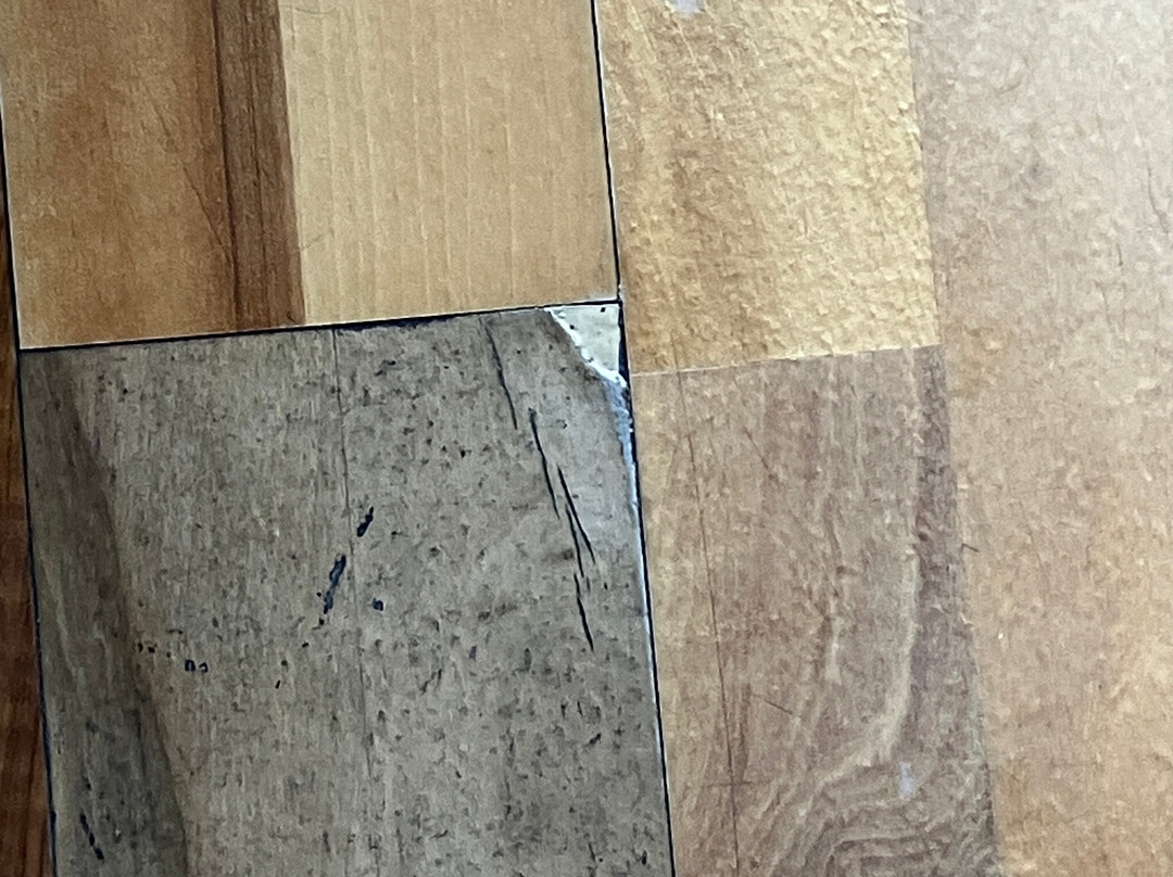 阿斯科纳酒店主图