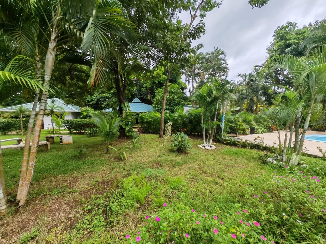 Buddha Hotel Restaurante主图