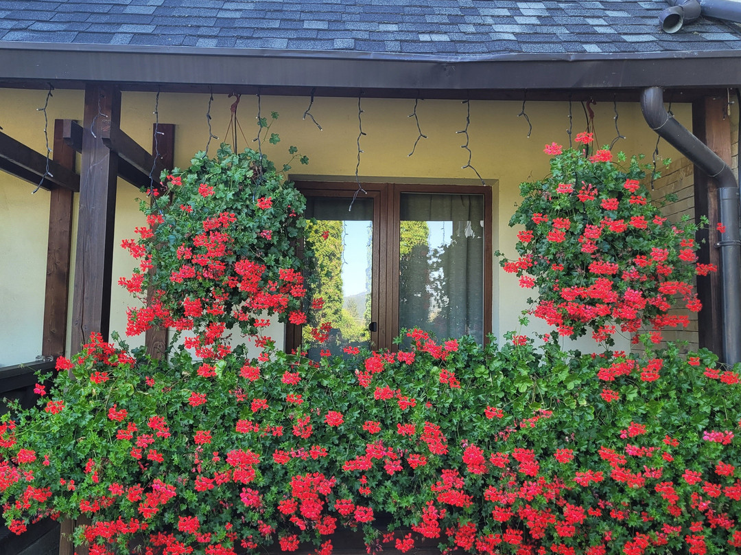 Inima Bucovinei主图